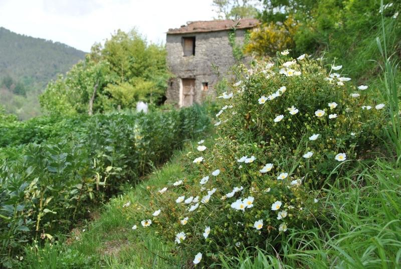 Il Ghiro B&B Riccò del Golfo di Spezia Dış mekan fotoğraf