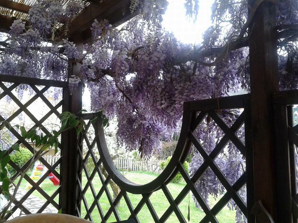 Il Ghiro B&B Riccò del Golfo di Spezia Dış mekan fotoğraf