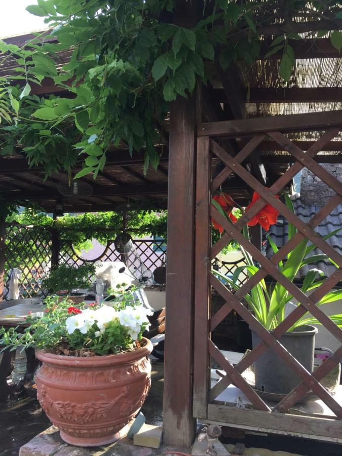 Il Ghiro B&B Riccò del Golfo di Spezia Dış mekan fotoğraf