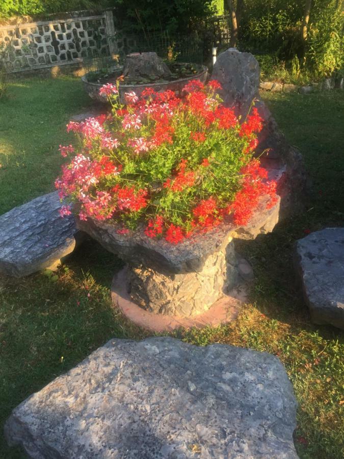 Il Ghiro B&B Riccò del Golfo di Spezia Dış mekan fotoğraf